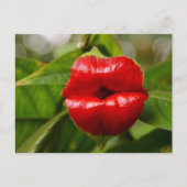 Postkarte (Vorderseite)