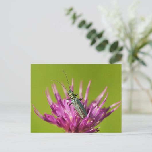 Postkarte (Stehend Vorderseite)