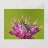 Postkarte (Vorderseite)