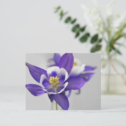 Postkarte (Stehend Vorderseite)