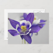 Postkarte (Vorne/Hinten)