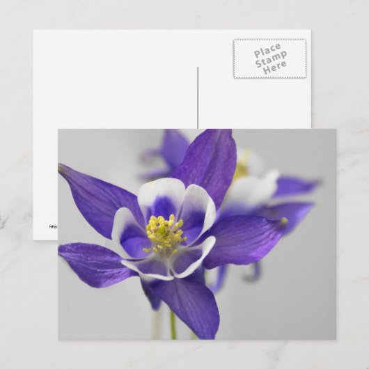 Postkarte (Vorne/Hinten)