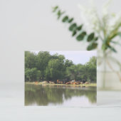 Postkarte (Stehend Vorderseite)