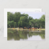 Postkarte (Vorne/Hinten)