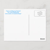 Postkarte 05 "Cyan and Magenta Rosette" (Rückseite)