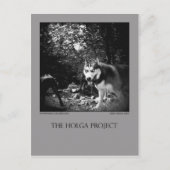 Postkarte 10 (Vorderseite)