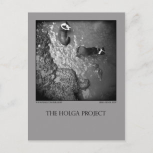 Postkarte 4