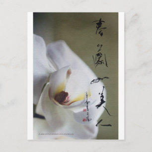 Postkarte 4