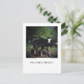 Postkarte 8 (Stehend Vorderseite)