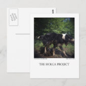 Postkarte 8 (Vorne/Hinten)