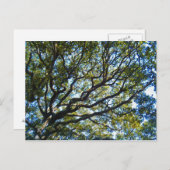 Postkarte abzweigen (Vorne/Hinten)