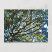 Postkarte abzweigen (Vorderseite)