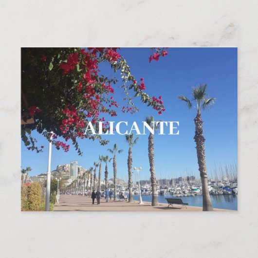 Postkarte Alicante (Vorderseite)