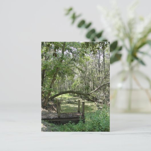 Postkarte - Altes Florida (Stehend Vorderseite)