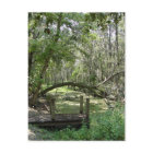 Postkarte - Altes Florida