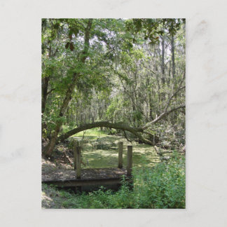 Postkarte - Altes Florida