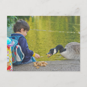 Postkarte am See