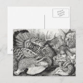 Postkarte "American Forest Game" (Vorne/Hinten)