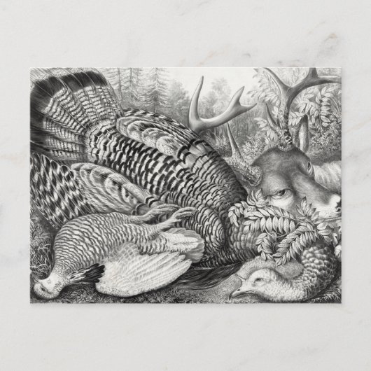 Postkarte "American Forest Game" (Vorderseite)