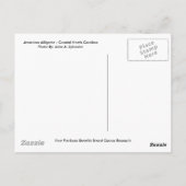 POSTKARTE amerikanischer AlligatorNorth Carolina (Rückseite)