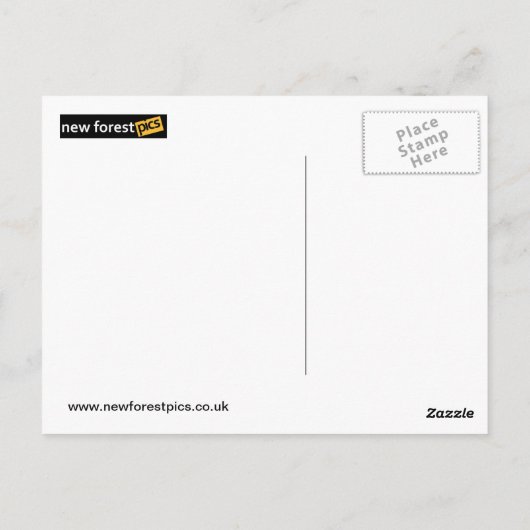 Postkarte Amsterdam (Rückseite)