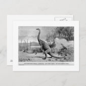 Postkarte Anchisaurus (Vorne/Hinten)