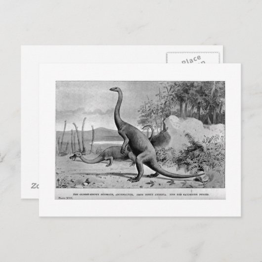 Postkarte Anchisaurus (Vorne/Hinten)