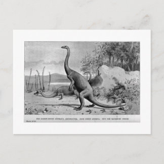 Postkarte Anchisaurus