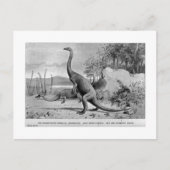 Postkarte Anchisaurus (Vorderseite)