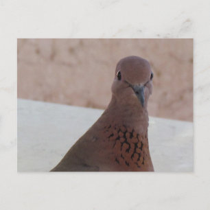 Postkarte, anpassen postkarte