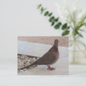 Postkarte, anpassen postkarte (Stehend Vorderseite)