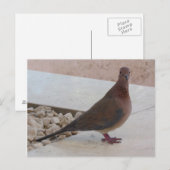Postkarte, anpassen postkarte (Vorne/Hinten)
