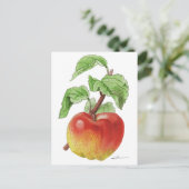 Postkarte "Apfel Jeanne Hardy" (Stehend Vorderseite)