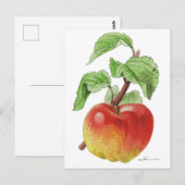 Postkarte "Apfel Jeanne Hardy" (Vorne/Hinten)