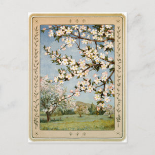 Postkarte - Apfelblüten
