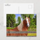 Postkarte ‚Arbella‘ (Vorne/Hinten)