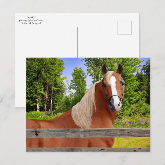 Postkarte ‚Arbella‘ (Vorne/Hinten)