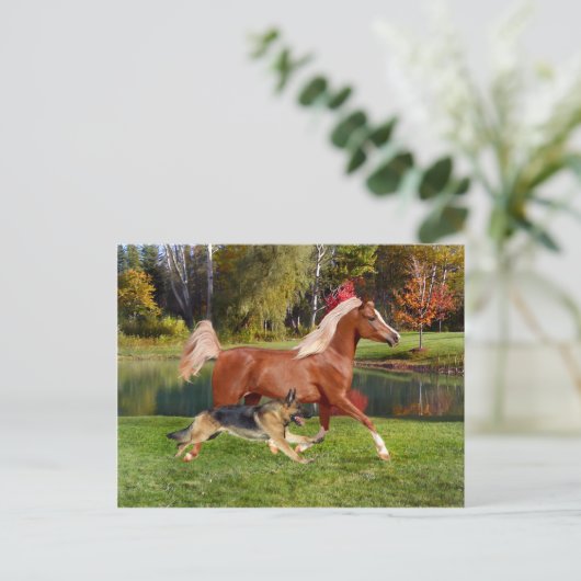 Postkarte "Arbella & Butch" (Stehend Vorderseite)