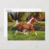 Postkarte "Arbella & Butch" (Vorne/Hinten)