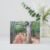 Postkarte Art Tür und Weg (Stehend Vorderseite)