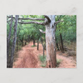 Postkarte Art Tür und Weg (Vorderseite)