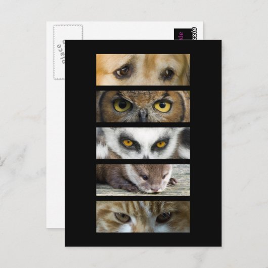 Postkarte - Augen der Tiere (Vorne/Hinten)