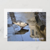 Postkarte aus Belgrad (Vorne/Hinten)