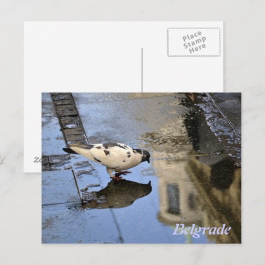 Postkarte aus Belgrad (Vorne/Hinten)