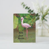 Postkarte aus Florida mit rosa Flamingo (Stehend Vorderseite)