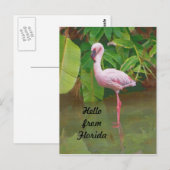 Postkarte aus Florida mit rosa Flamingo (Vorne/Hinten)