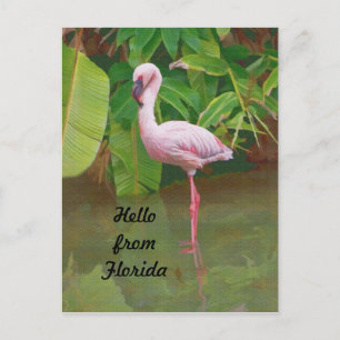 Postkarte aus Florida mit rosa Flamingo