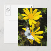 Postkarte aus kleinem Marmor (Vorne/Hinten)