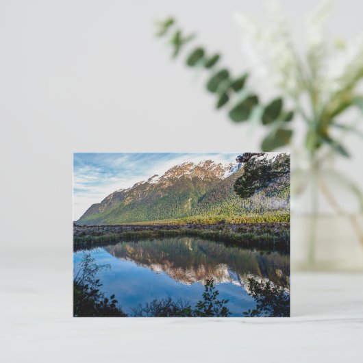 Postkarte aus Neuseeland (Stehend Vorderseite)