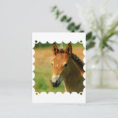 Postkarte ausfüllen (Stehend Vorderseite)